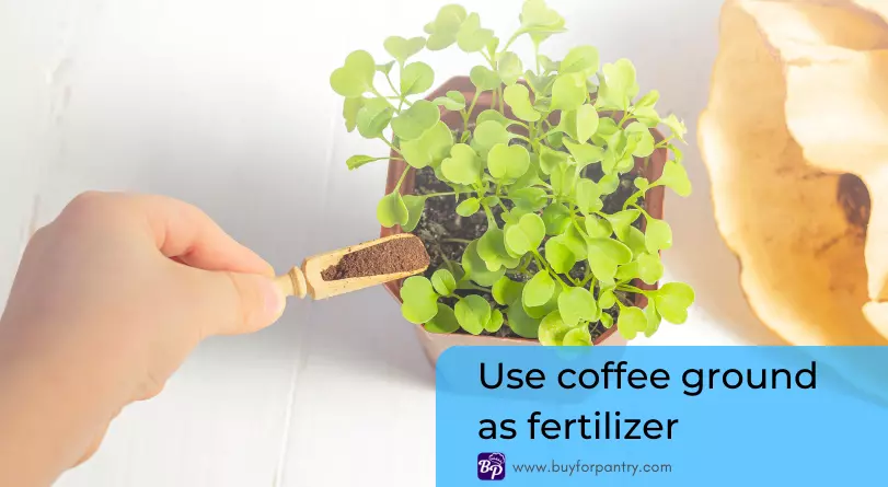 Used coffee grounds can act as fertilizer