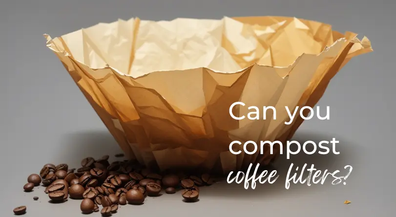 Are coffee filters compostable?