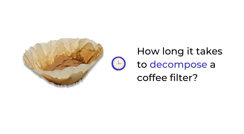 How long coffee filters take to decompose